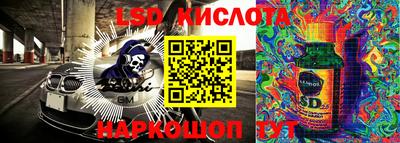 крисы Боровичи