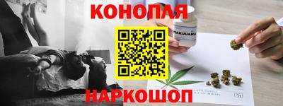 крисы Боровичи