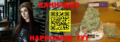 крисы Боровичи