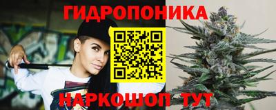 молекула духа Брянск